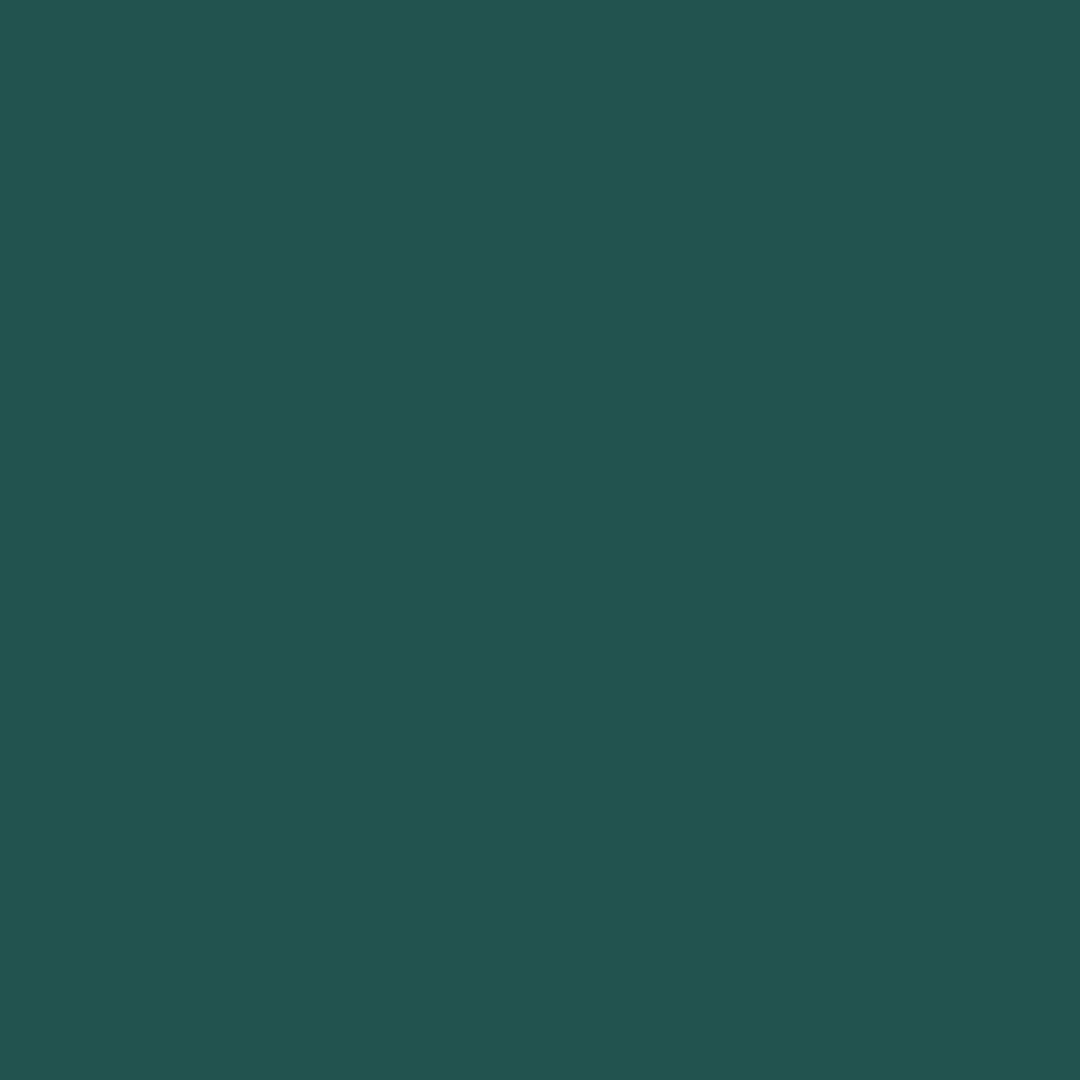 Dharma Acid Dyes (408)