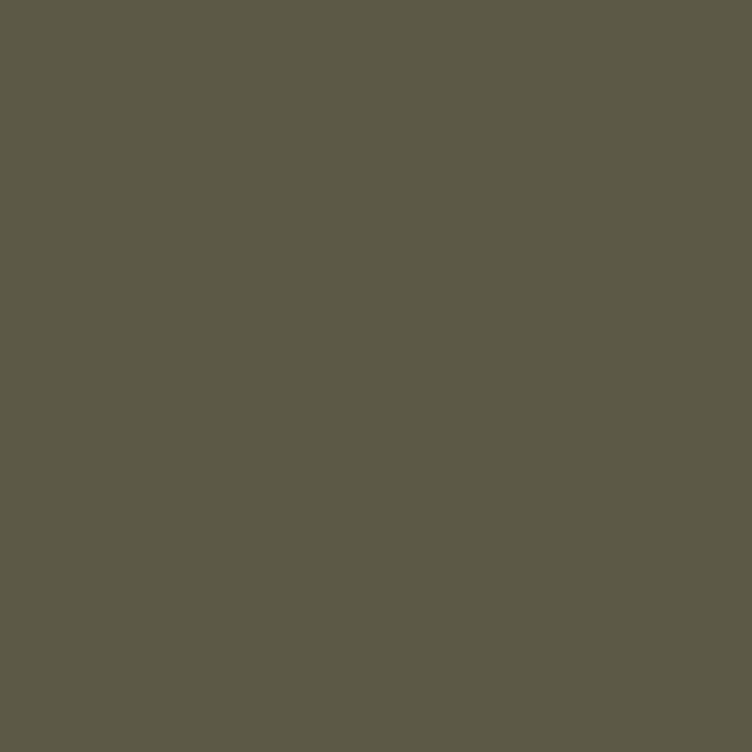 Dharma Acid Dyes (438)