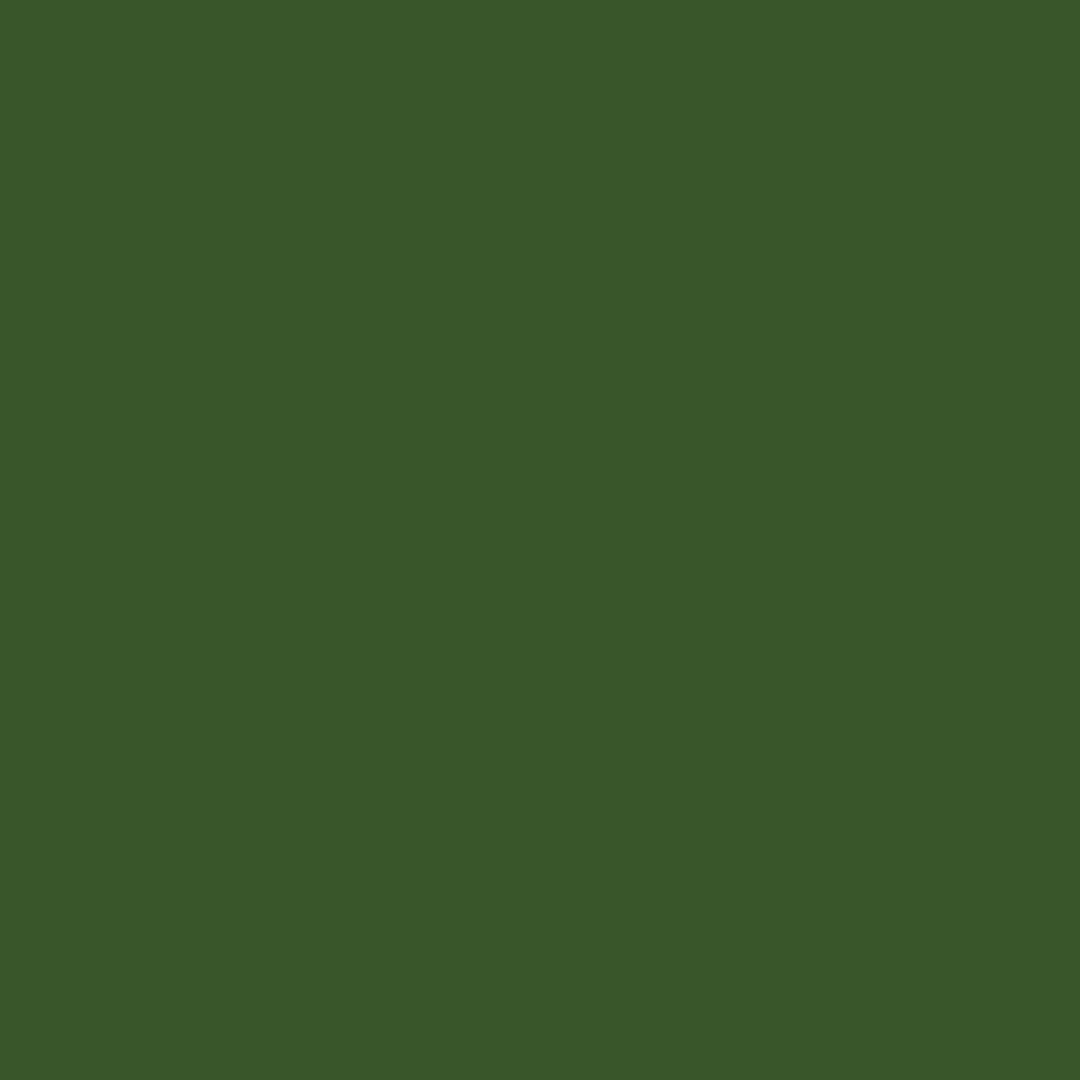 Dharma Acid Dyes (451)