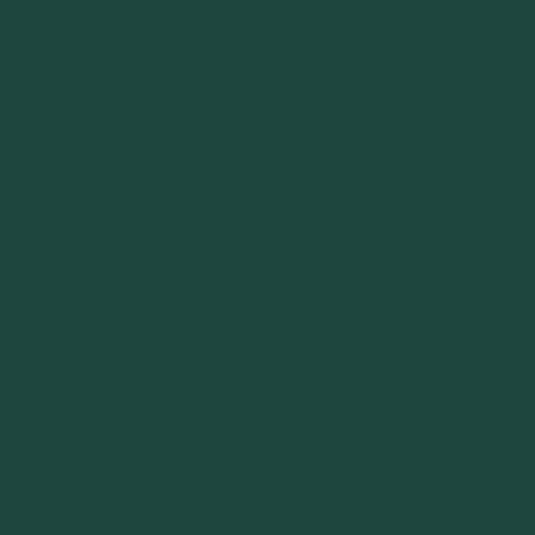 Dharma Acid Dyes (452)