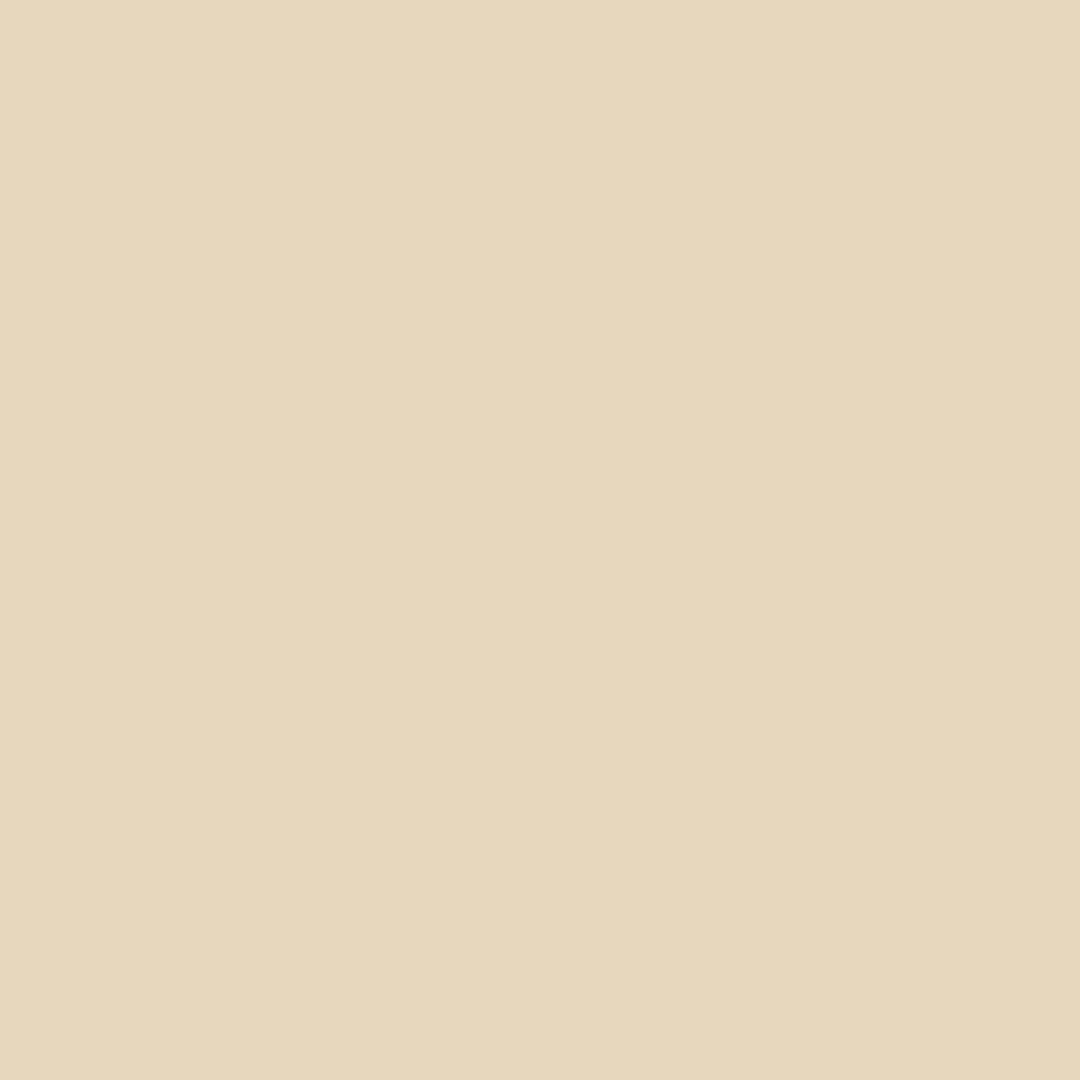 Dharma Acid Dyes (486)