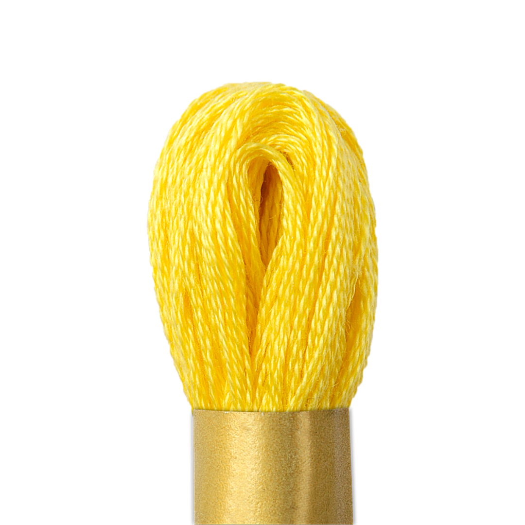 Circulo Maxi Mouline Thread (The Yellow Shades) (146)