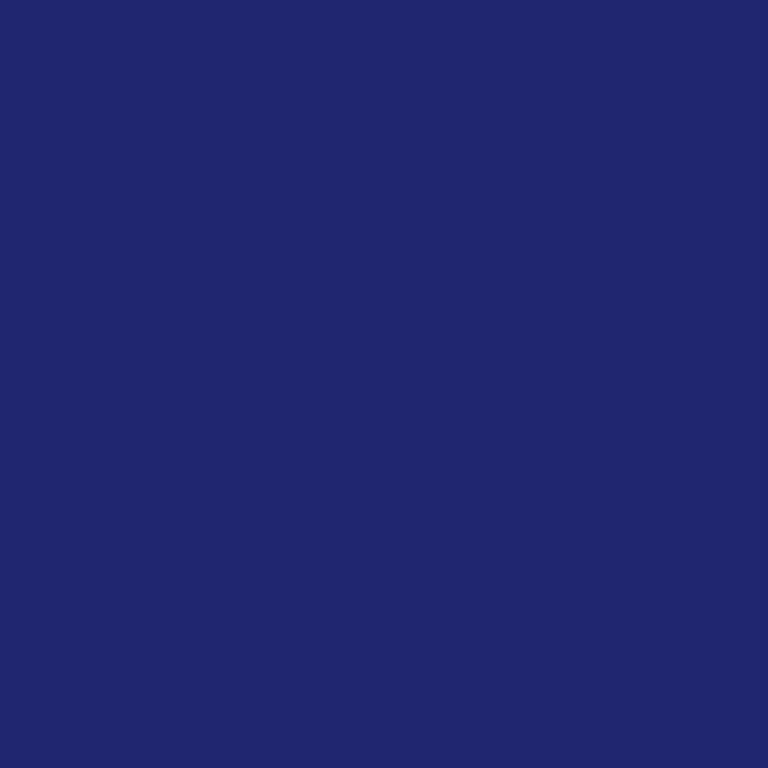 Dharma Acid Dyes - Midnight Blue (415)