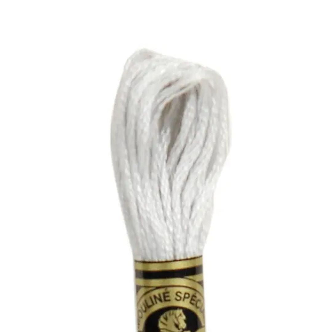 DMC Stranded Cotton Mouliné Spécial Embroidery Thread (01)