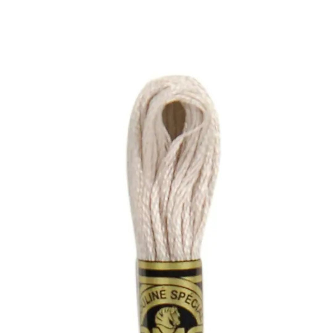 DMC Stranded Cotton Mouliné Spécial Embroidery Thread (05)