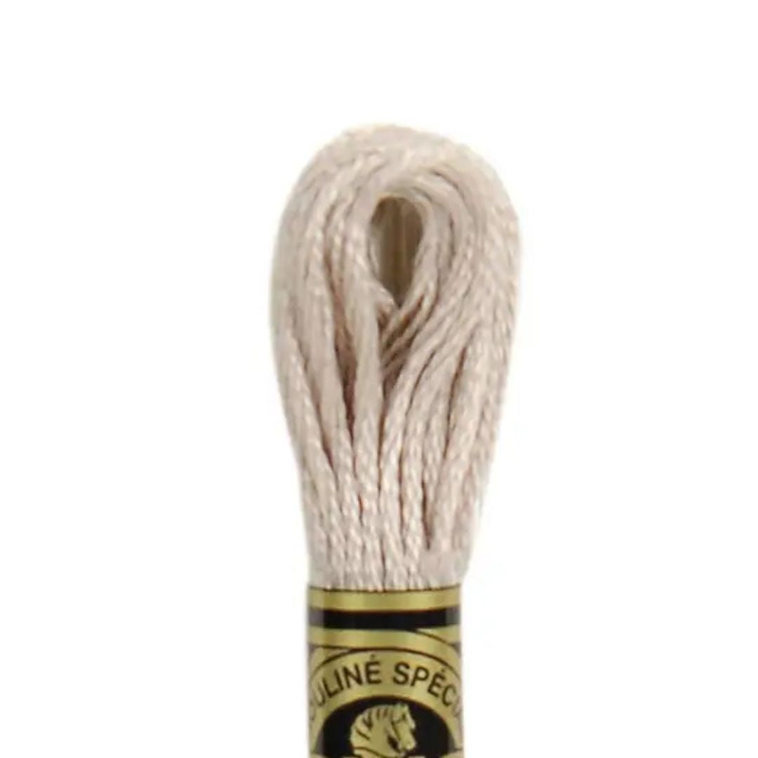 DMC Stranded Cotton Mouliné Spécial Embroidery Thread (06)