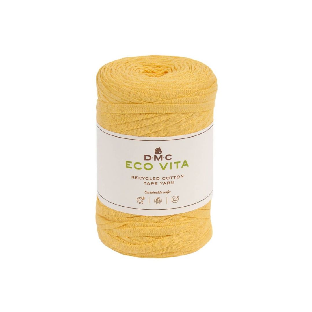 DMC Eco Vita Tape Yarn (09)