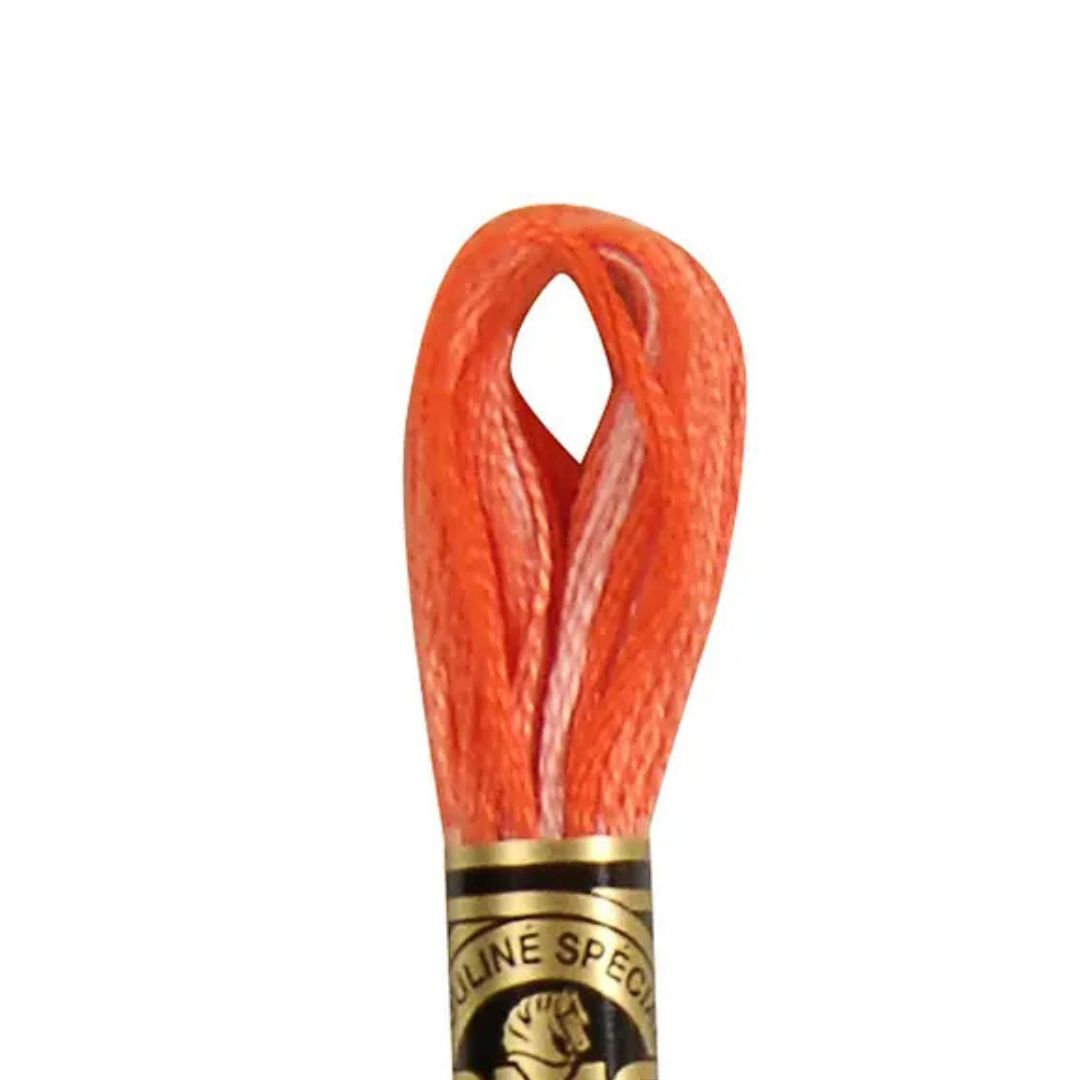 DMC Stranded Cotton Mouliné Spécial Embroidery Thread (106)
