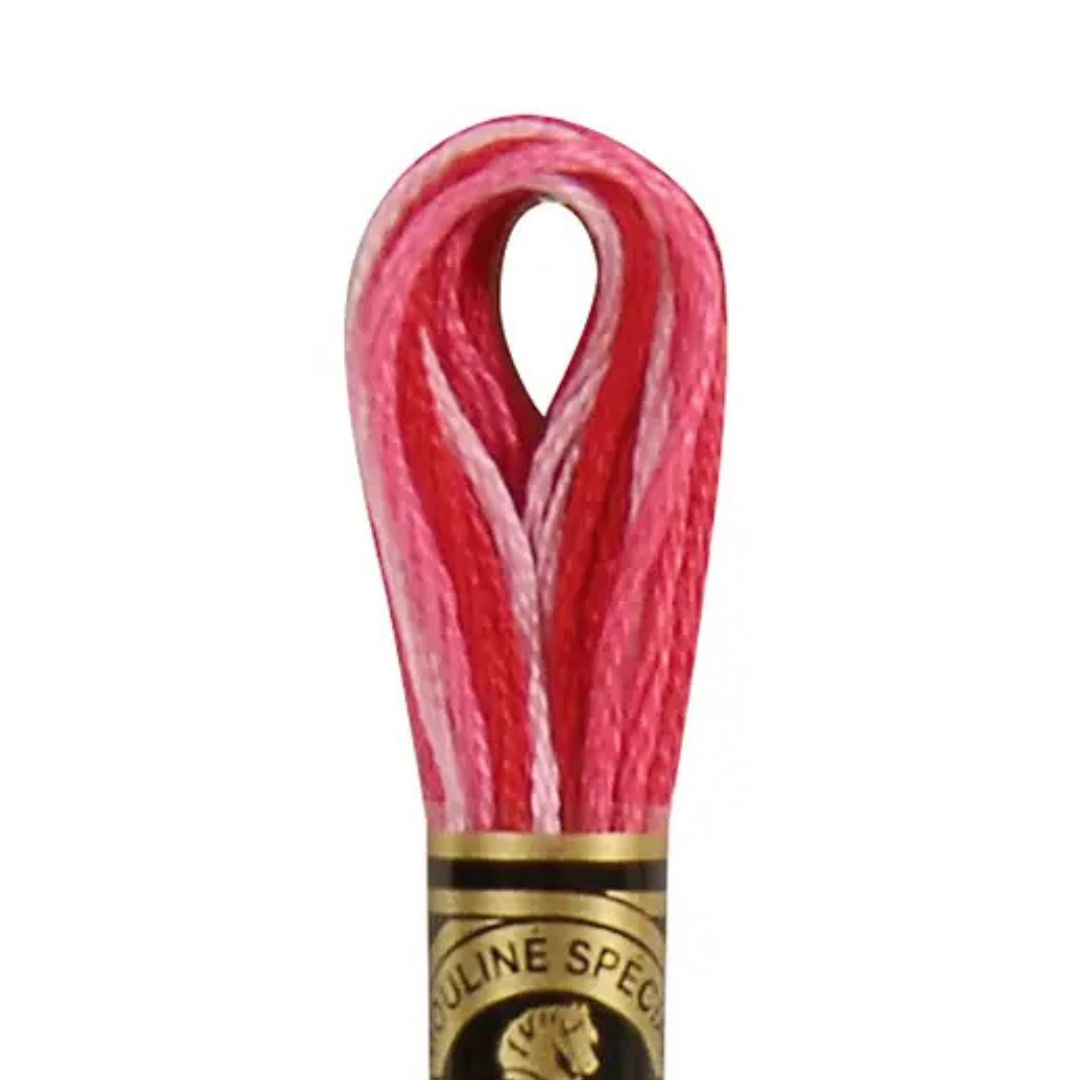 DMC Stranded Cotton Mouliné Spécial Embroidery Thread (107)