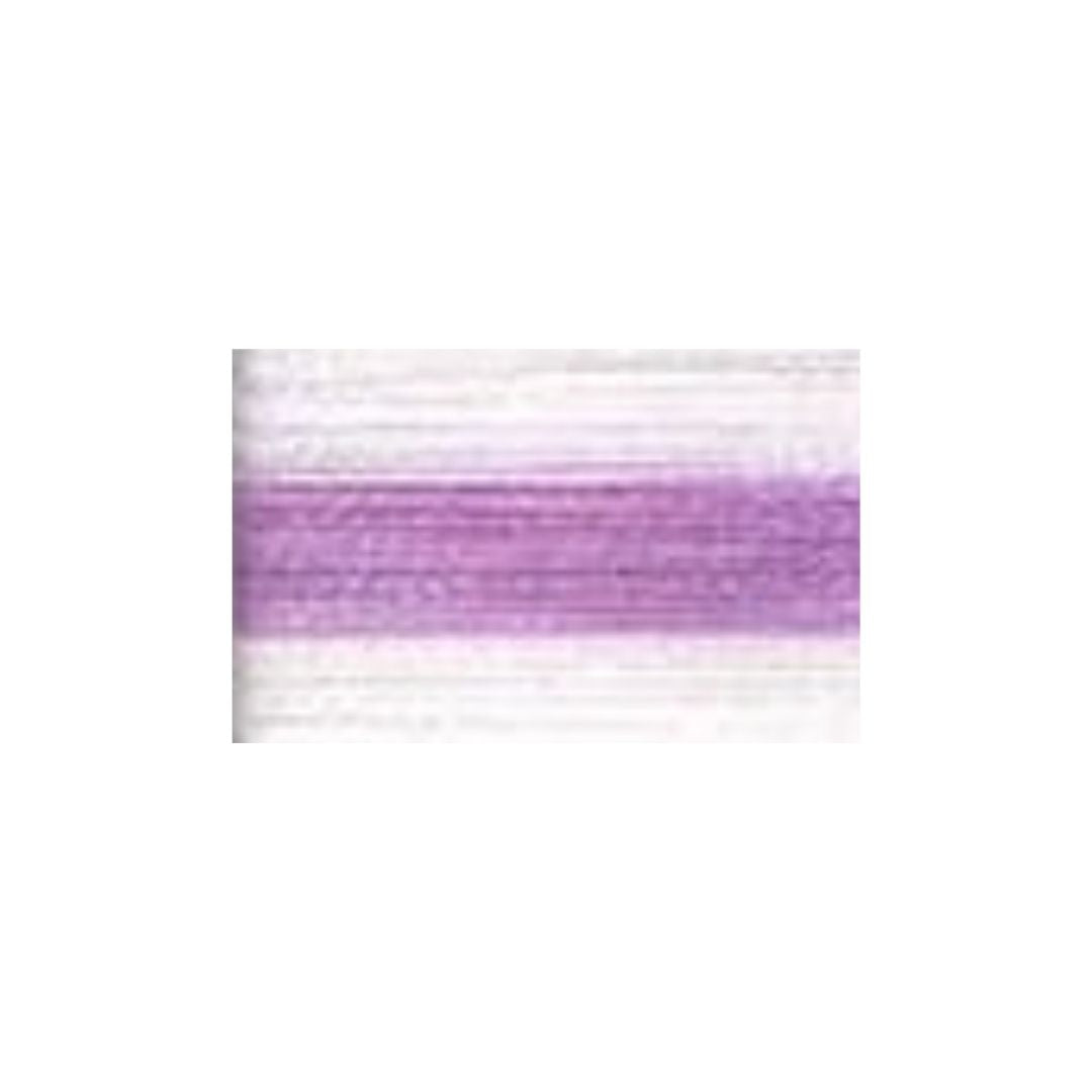 Wone Machine Embroidery Thread (The Variegated Shades) (109)