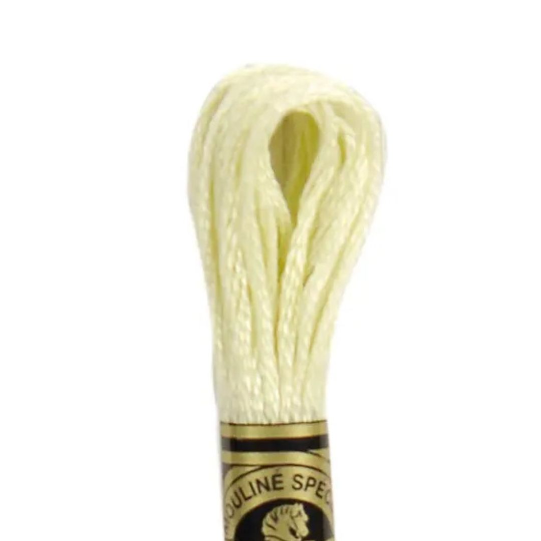 DMC Stranded Cotton Mouliné Spécial Embroidery Thread (10)