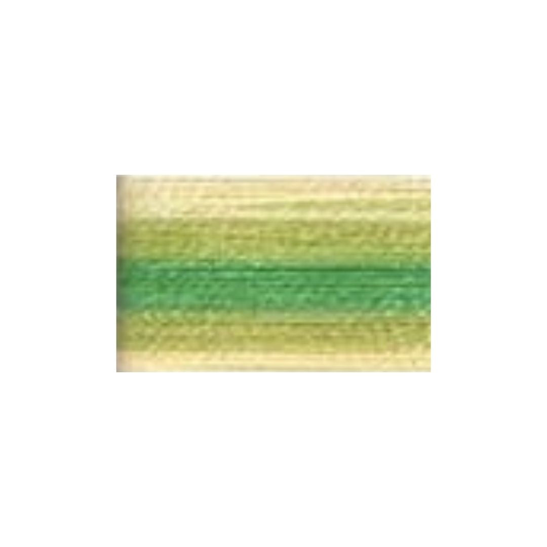 Wone Machine Embroidery Thread (The Variegated Shades) (110)