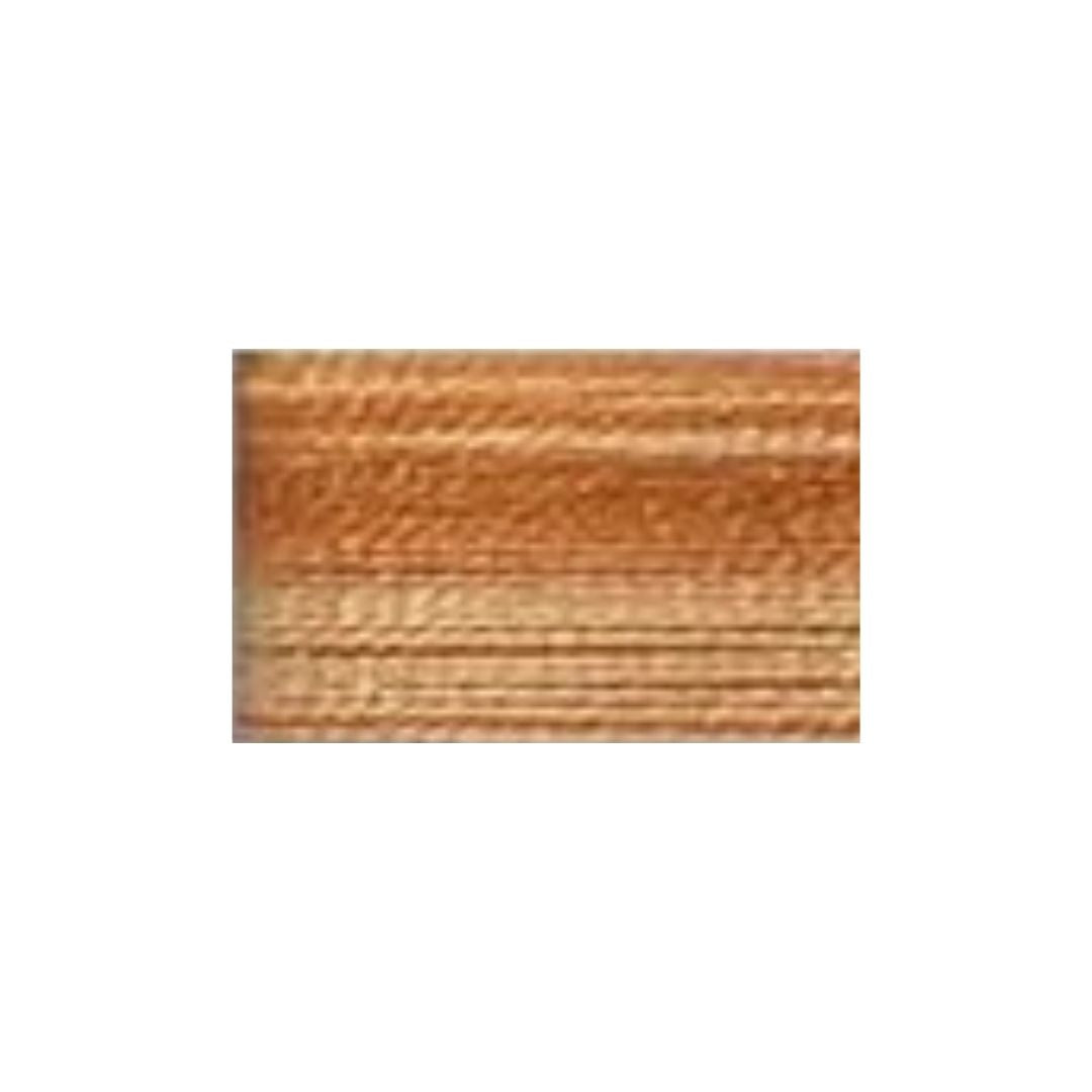 Wone Machine Embroidery Thread (The Variegated Shades) (117)