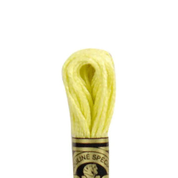 DMC Stranded Cotton Mouliné Spécial Embroidery Thread (11)