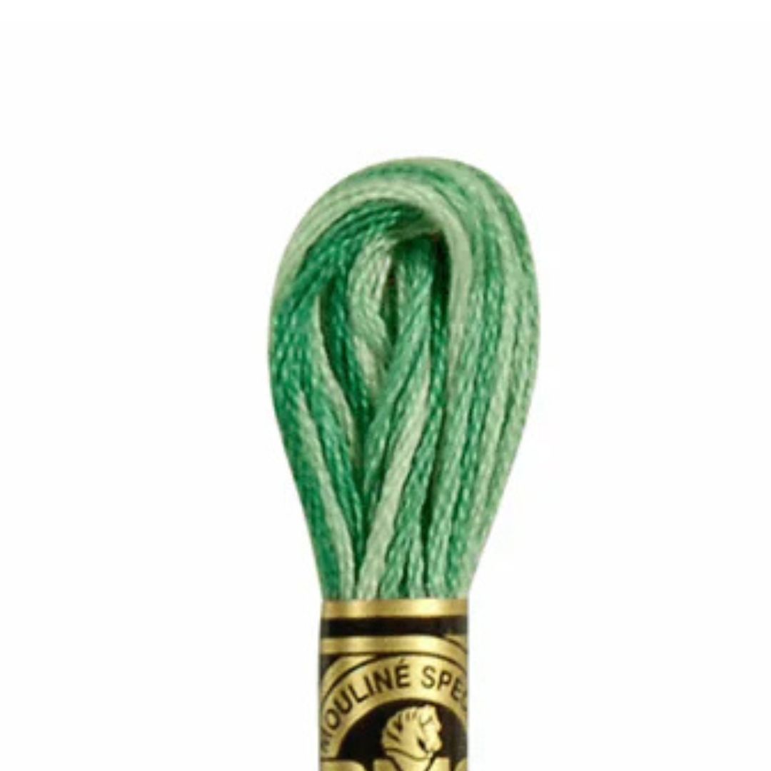 DMC Stranded Cotton Mouliné Spécial Embroidery Thread (125)