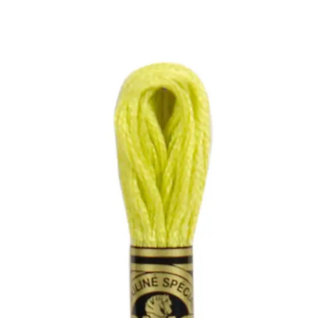 DMC Stranded Cotton Mouliné Spécial Embroidery Thread (12)