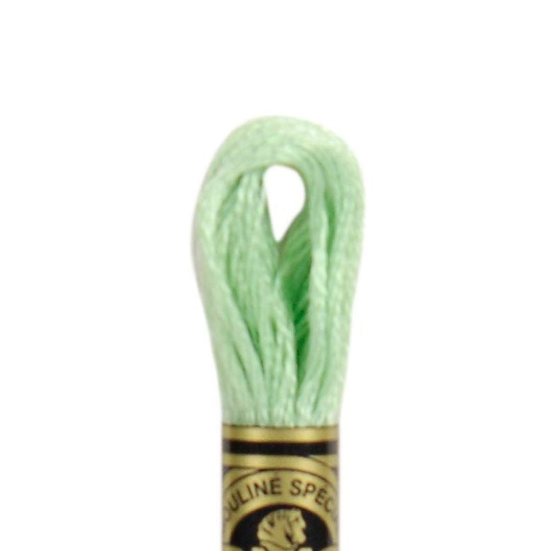 DMC Stranded Cotton Mouliné Spécial Embroidery Thread (13)