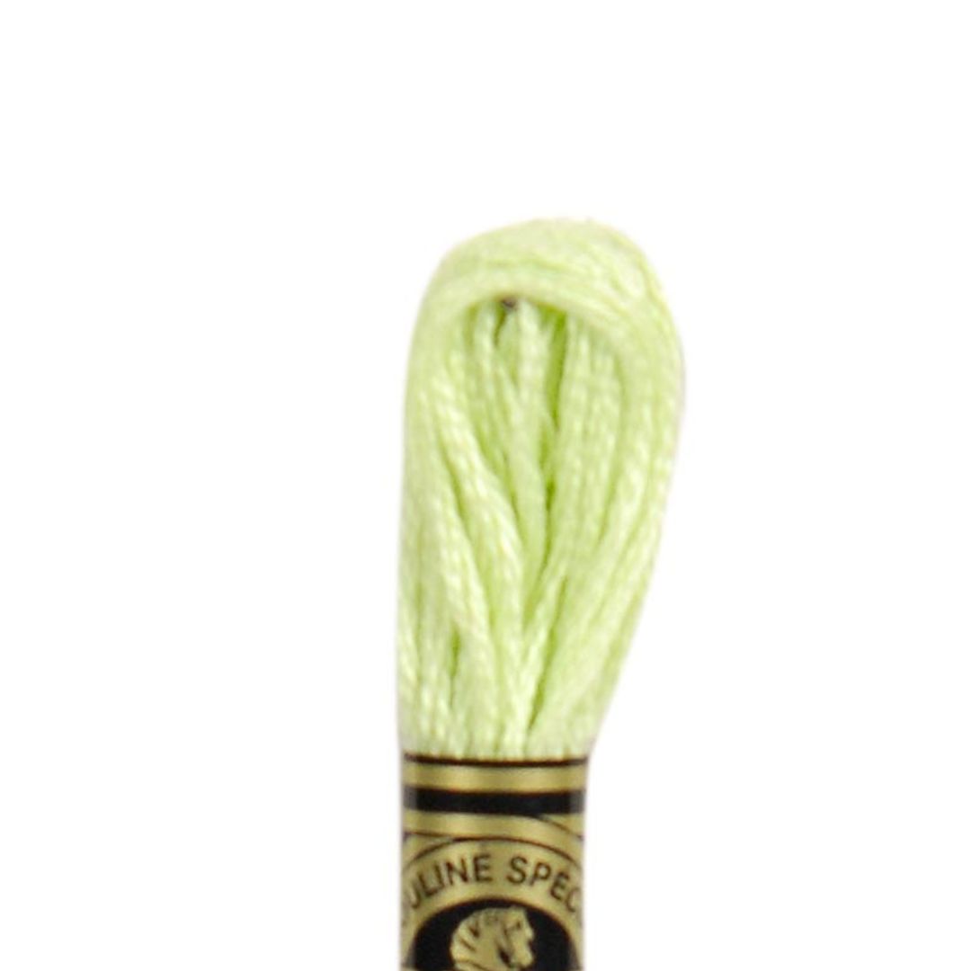 DMC Stranded Cotton Mouliné Spécial Embroidery Thread (14)