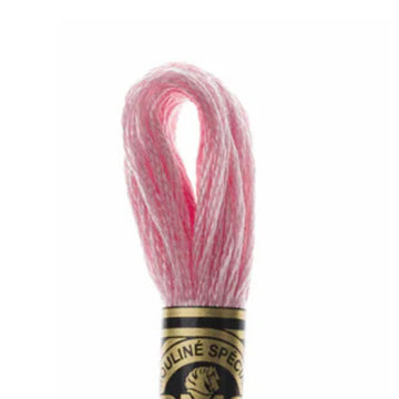 DMC Stranded Cotton Mouliné Spécial Embroidery Thread (151)