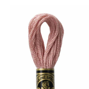 DMC Stranded Cotton Mouliné Spécial Embroidery Thread (152)