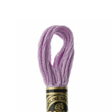 DMC Stranded Cotton Mouliné Spécial Embroidery Thread (153)