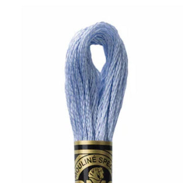 DMC Stranded Cotton Mouliné Spécial Embroidery Thread (157)