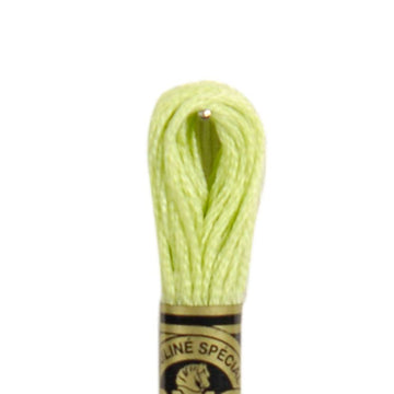 DMC Stranded Cotton Mouliné Spécial Embroidery Thread (15)