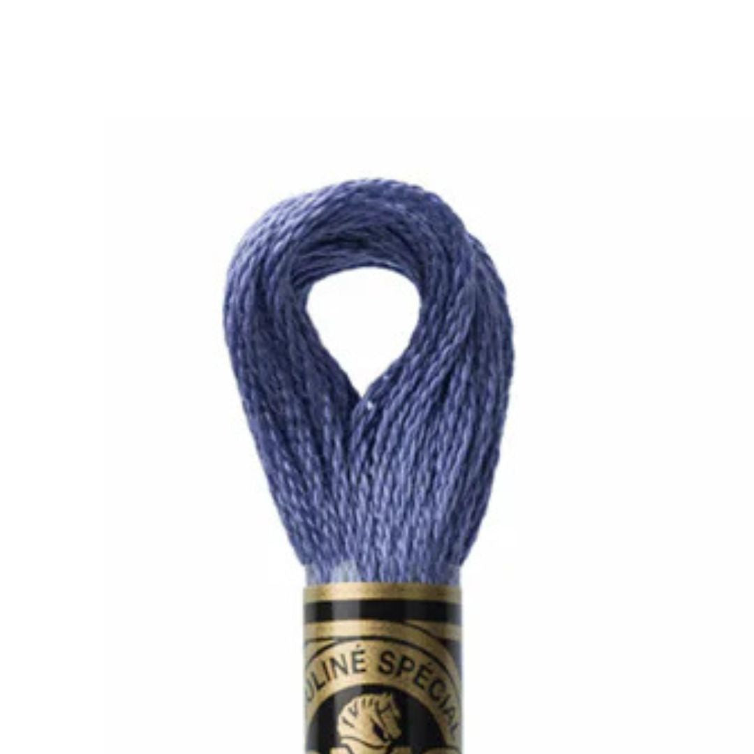 DMC Stranded Cotton Mouliné Spécial Embroidery Thread (161)