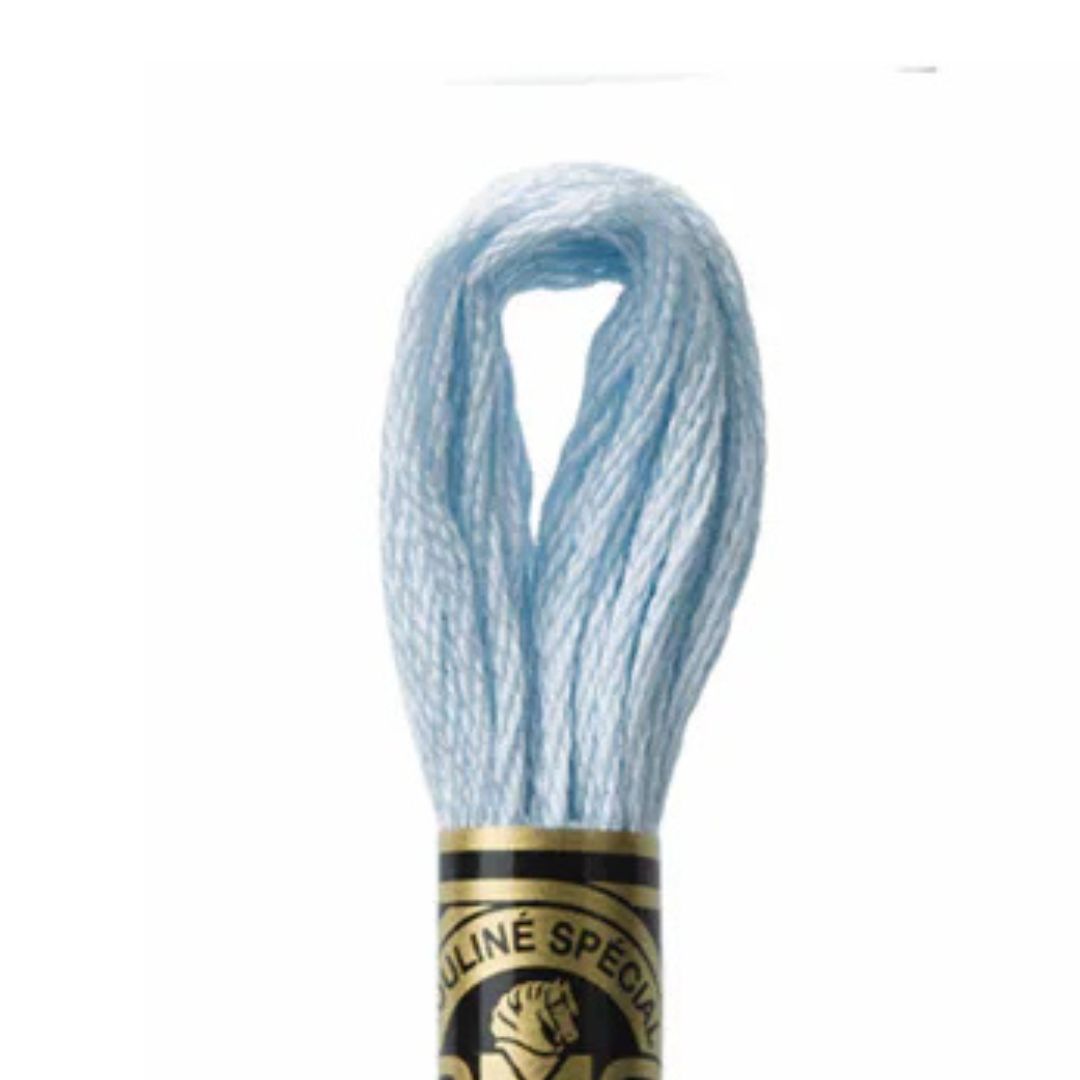 DMC Stranded Cotton Mouliné Spécial Embroidery Thread (162)