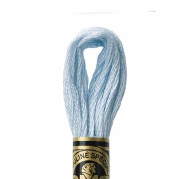 DMC Stranded Cotton Mouliné Spécial Embroidery Thread (162)