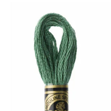 DMC Stranded Cotton Mouliné Spécial Embroidery Thread (163)