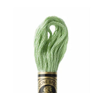 DMC Stranded Cotton Mouliné Spécial Embroidery Thread (164)