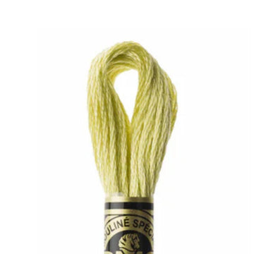 DMC Stranded Cotton Mouliné Spécial Embroidery Thread (165)