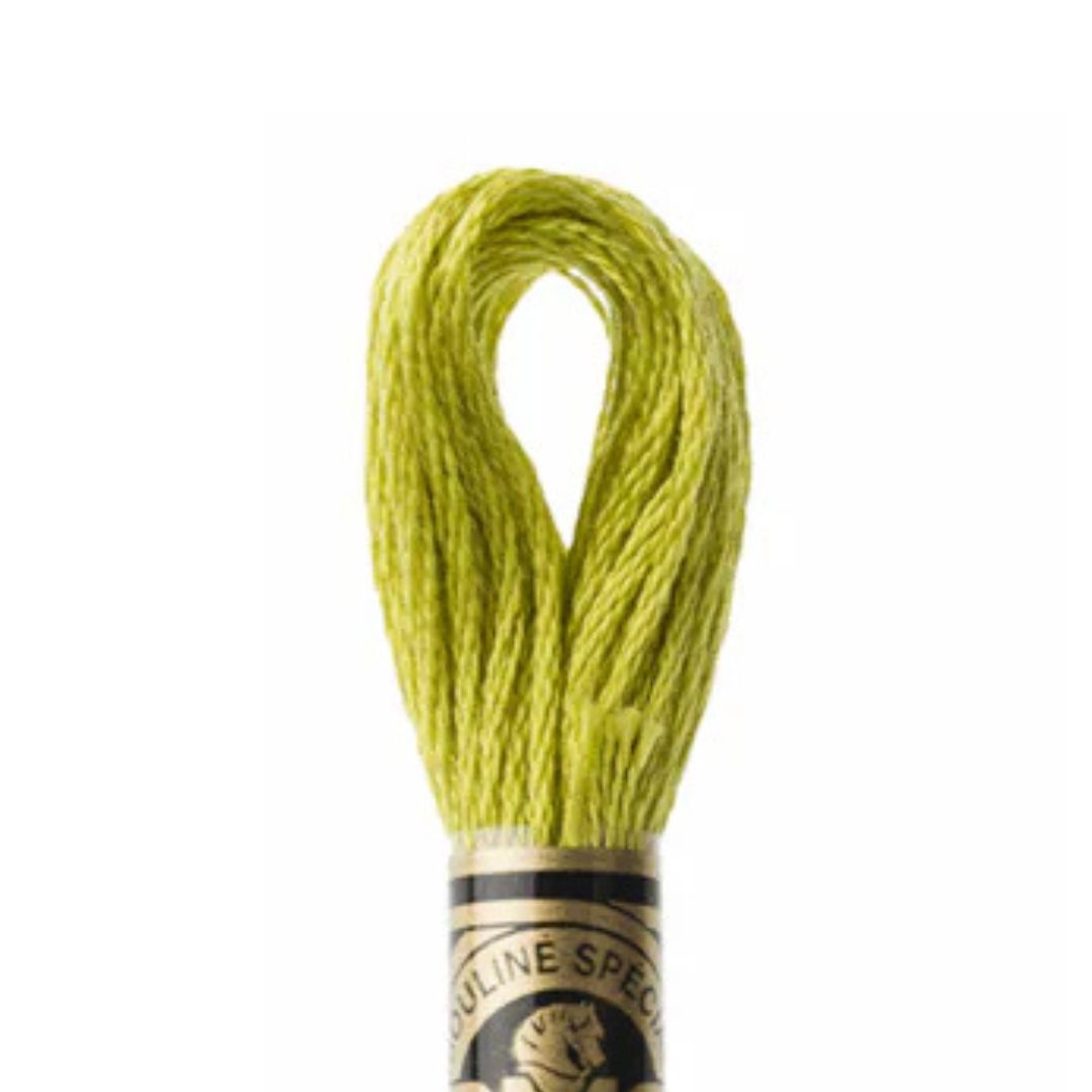 DMC Stranded Cotton Mouliné Spécial Embroidery Thread (166)