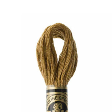 DMC Stranded Cotton Mouliné Spécial Embroidery Thread (167)