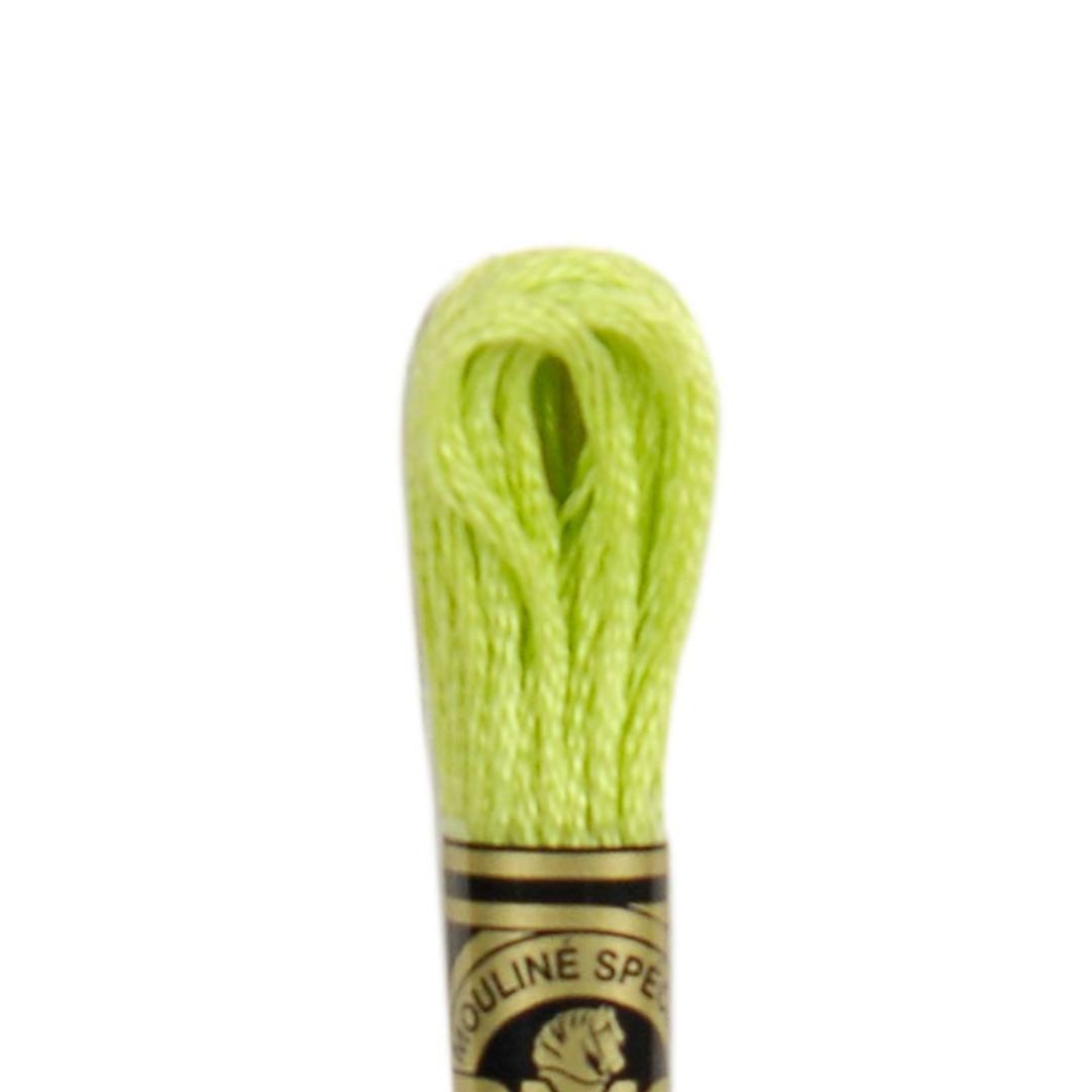 DMC Stranded Cotton Mouliné Spécial Embroidery Thread (16)