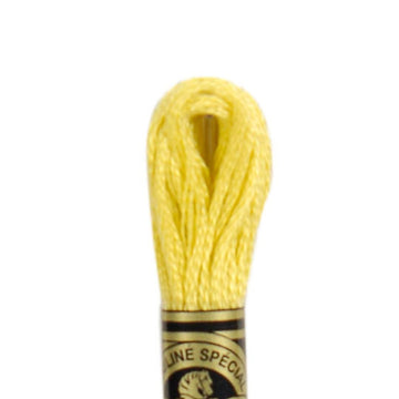 DMC Stranded Cotton Mouliné Spécial Embroidery Thread (17)