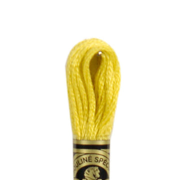 DMC Stranded Cotton Mouliné Spécial Embroidery Thread (18)