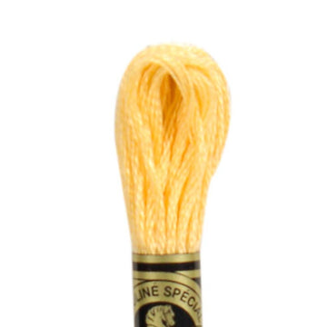 DMC Stranded Cotton Mouliné Spécial Embroidery Thread (19)