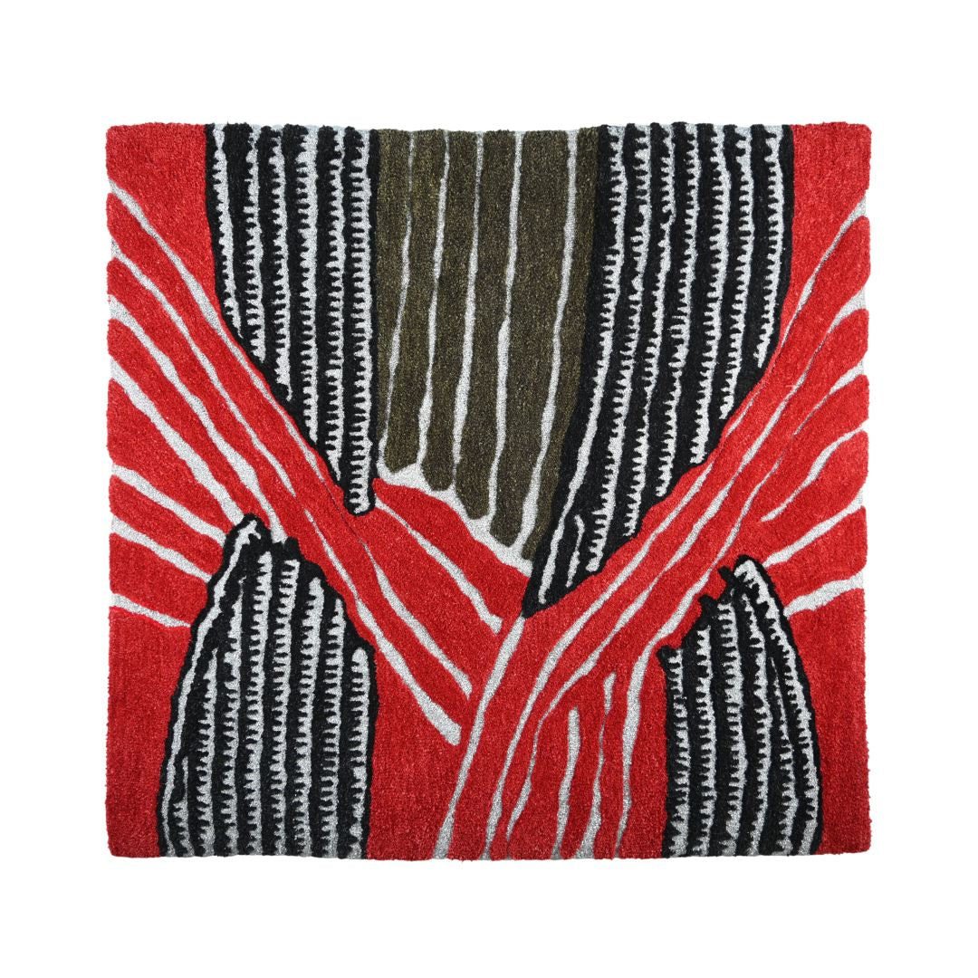 Woven, Not Illustrated by Asad Azizi