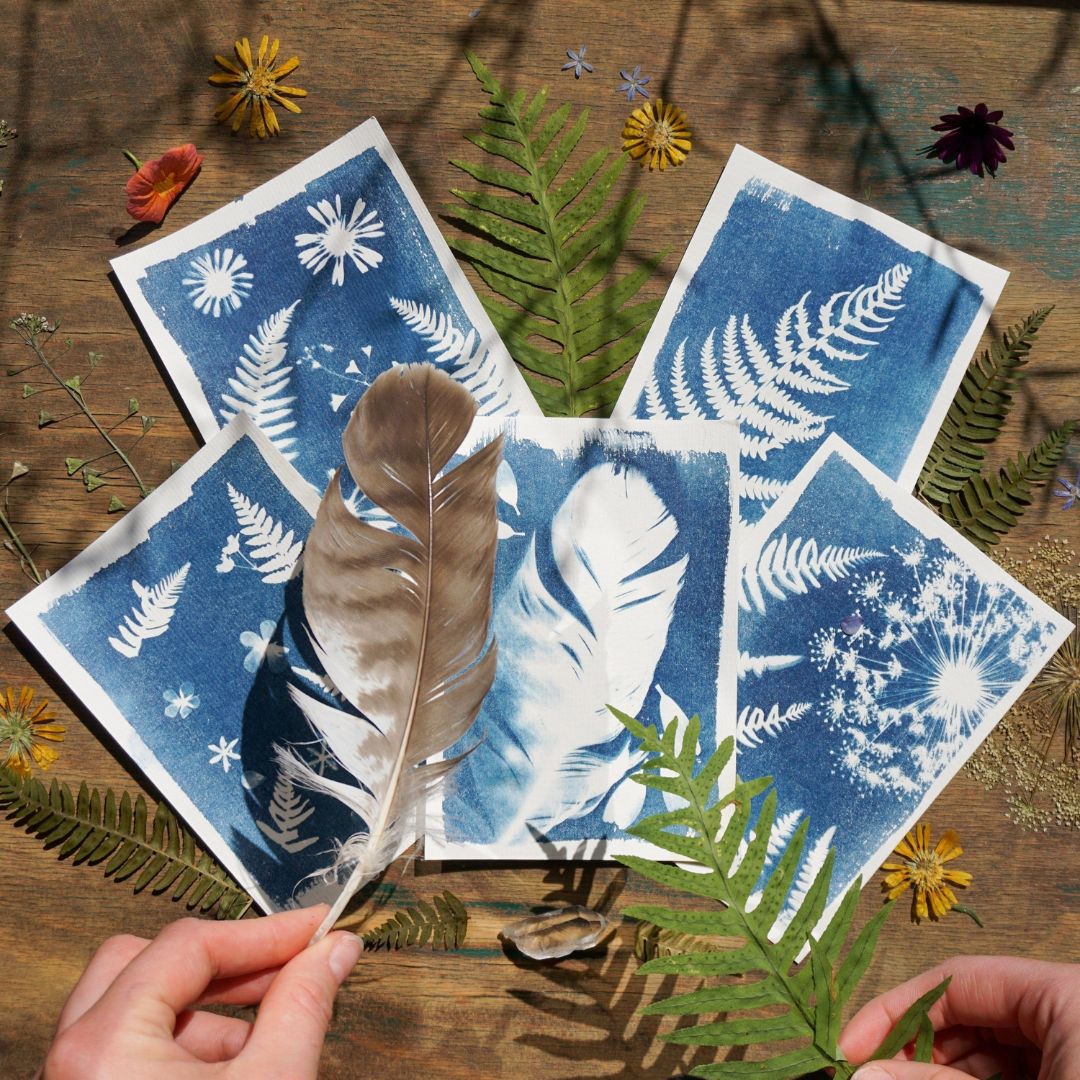 One-on-One Sun Printing (Cyanotype) Workshop