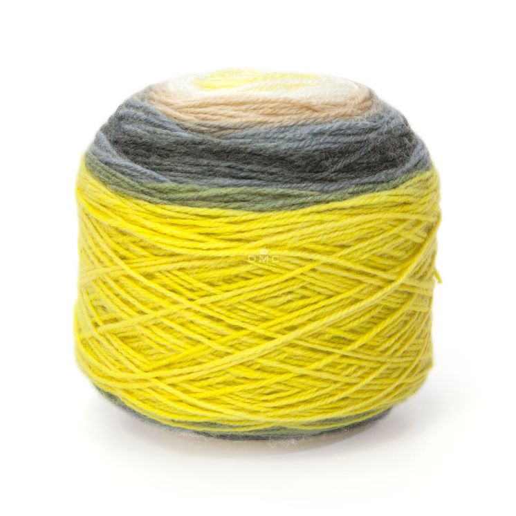 DMC Revelation Yarn (206)
