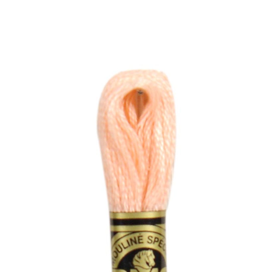 DMC Stranded Cotton Mouliné Spécial Embroidery Thread (20)
