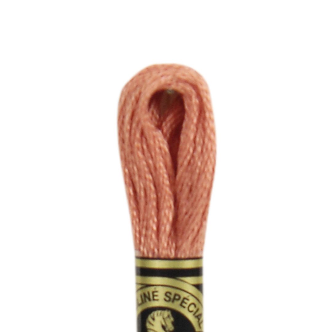 DMC Stranded Cotton Mouliné Spécial Embroidery Thread (21)