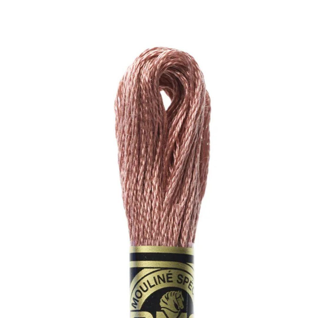 DMC Stranded Cotton Mouliné Spécial Embroidery Thread (223)