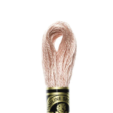 DMC Stranded Cotton Mouliné Spécial Embroidery Thread (224)