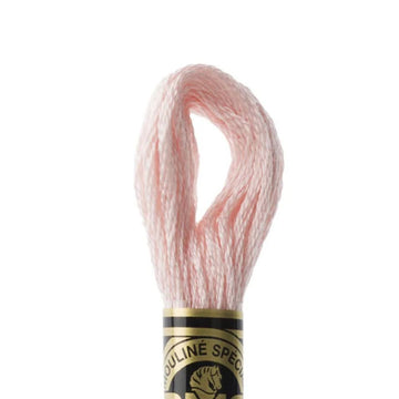 DMC Stranded Cotton Mouliné Spécial Embroidery Thread (225)