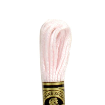 DMC Stranded Cotton Mouliné Spécial Embroidery Thread (23)