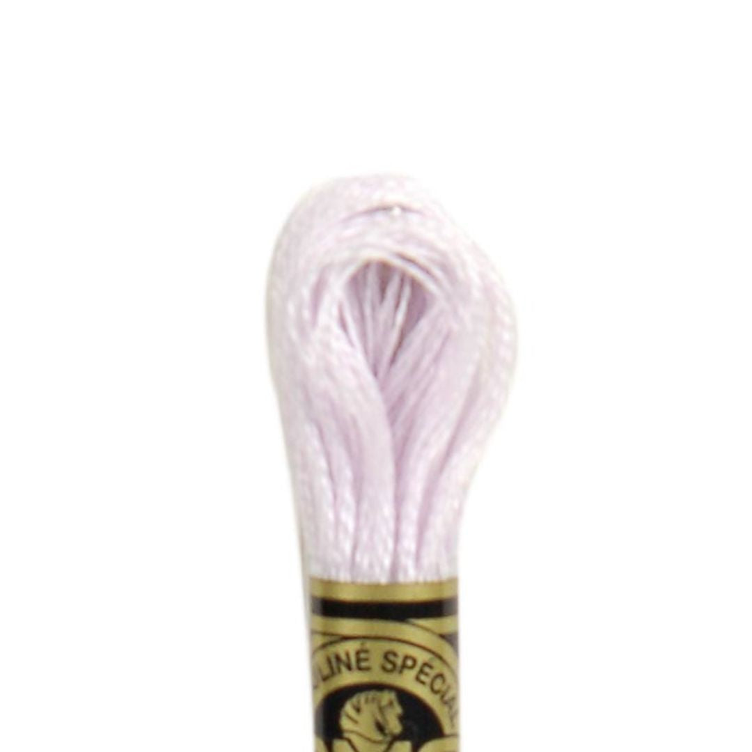 DMC Stranded Cotton Mouliné Spécial Embroidery Thread (24)