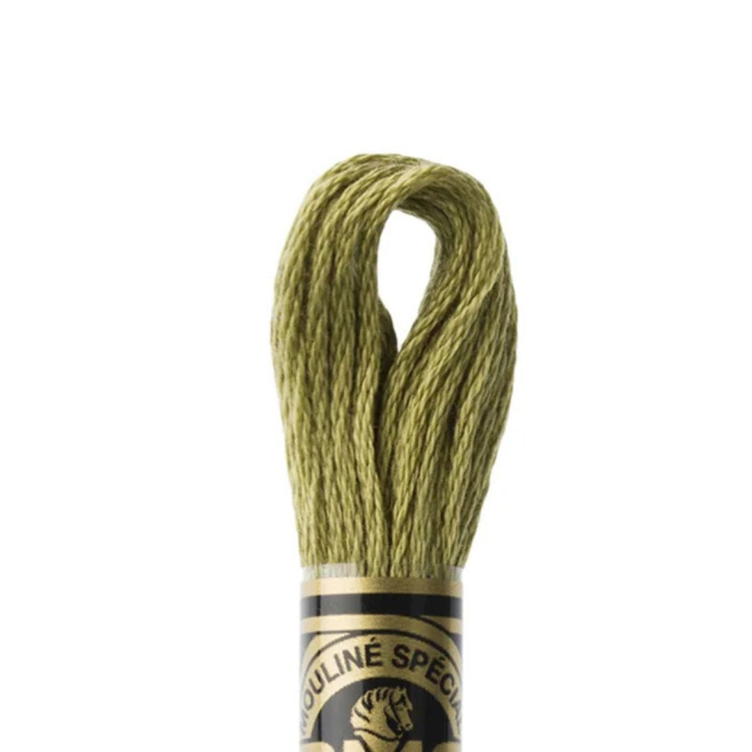 DMC Stranded Cotton Mouliné Spécial Embroidery Thread (3012)